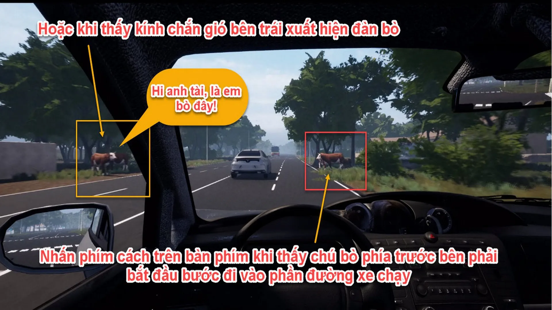 Xe không đèn đỗ ven đường đêm
